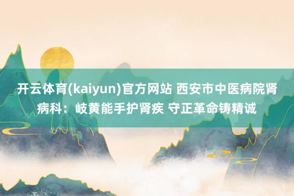 开云体育(kaiyun)官方网站 西安市中医病院肾病科：岐黄能手护肾疾 守正革命铸精诚