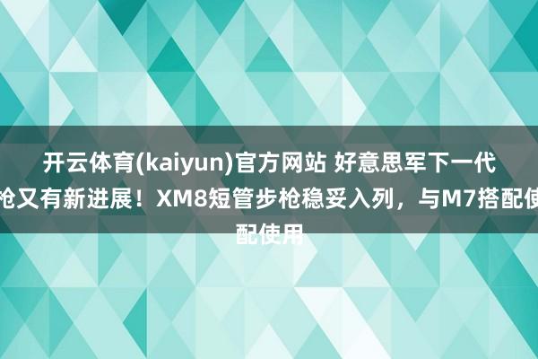 开云体育(kaiyun)官方网站 好意思军下一代步枪又有新进展！XM8短管步枪稳妥入列，与M7搭配使用