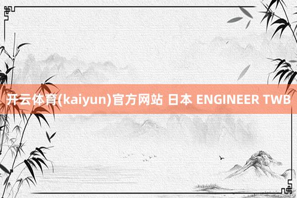 开云体育(kaiyun)官方网站 日本 ENGINEER TWB
