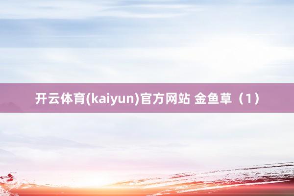 开云体育(kaiyun)官方网站 金鱼草（1）