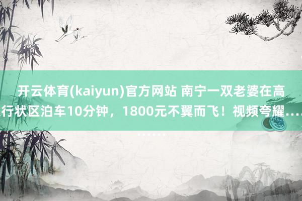 开云体育(kaiyun)官方网站 南宁一双老婆在高速行状区泊车10分钟，1800元不翼而飞！视频夸耀……