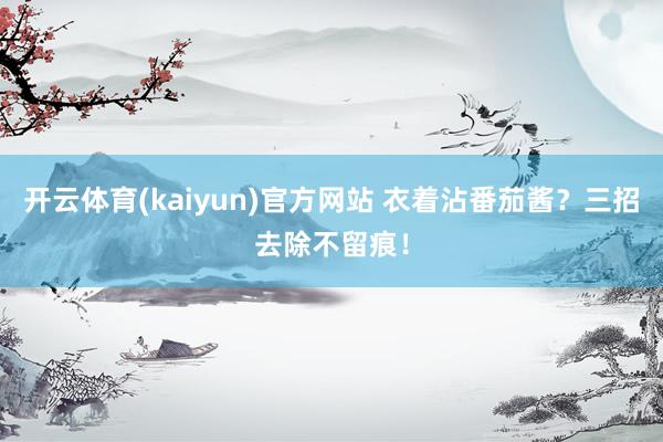 开云体育(kaiyun)官方网站 衣着沾番茄酱？三招去除不留痕！