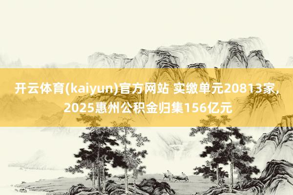 开云体育(kaiyun)官方网站 实缴单元20813家, 2025惠州公积金归集156亿元