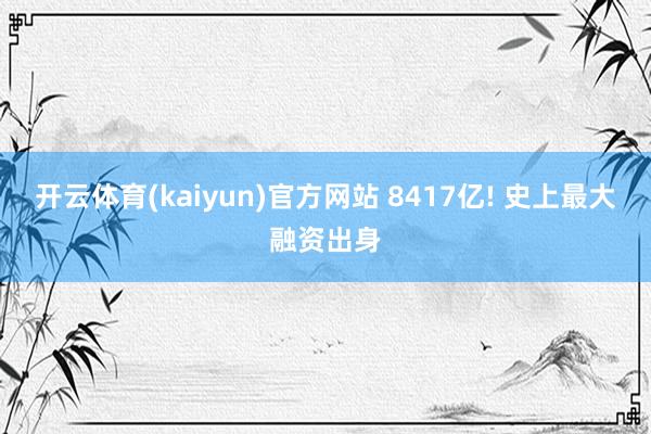 开云体育(kaiyun)官方网站 8417亿! 史上最大融资出身