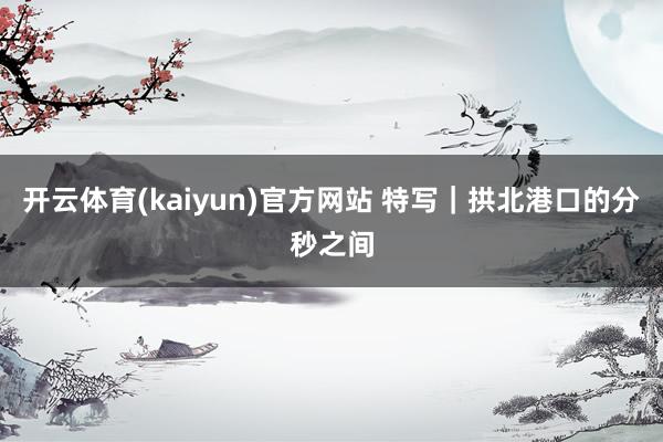 开云体育(kaiyun)官方网站 特写｜拱北港口的分秒之间