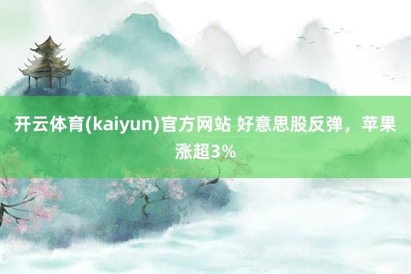 开云体育(kaiyun)官方网站 好意思股反弹，苹果涨超3%