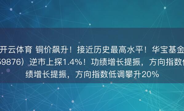 开云体育 铜价飙升！接近历史最高水平！华宝基金有色ETF（159876）逆市上探1.4%！功绩增长提振，方向指数低调攀升20%