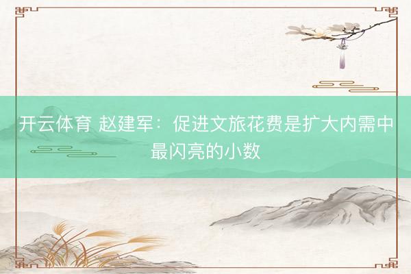 开云体育 赵建军：促进文旅花费是扩大内需中最闪亮的小数