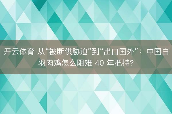 开云体育 从“被断供胁迫”到“出口国外”：中国白羽肉鸡怎么阻难 40 年把持？