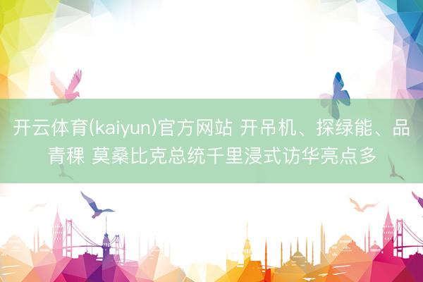 开云体育(kaiyun)官方网站 开吊机、探绿能、品青稞 莫桑比克总统千里浸式访华亮点多