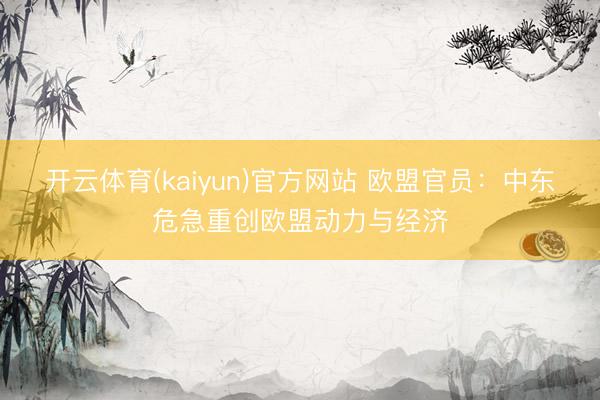 开云体育(kaiyun)官方网站 欧盟官员:中东危急重创欧盟动力与经济