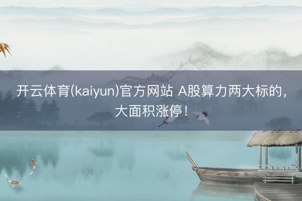 开云体育(kaiyun)官方网站 A股算力两大标的，大面积涨停！